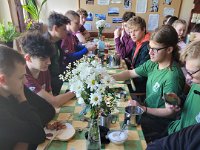 wyspowy (17)